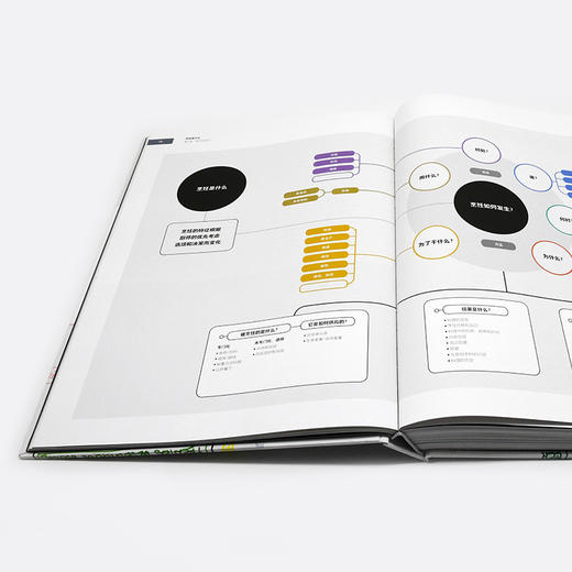 烹饪是什么：用现代科学揭示烹饪的真相 商品图10
