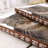 猫口腔和牙科病理图谱 商品缩略图4