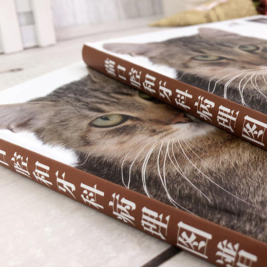猫口腔和牙科病理图谱 商品图4