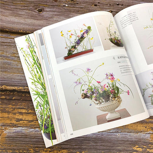 花艺设计原理与技法：从理解植物到设计植物 商品图6