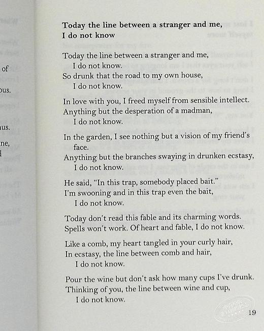 【中商原版】鲁米 诗歌选集 The Unseen Poems 英文原版 Rumi 商品图4