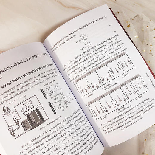 土壤腐殖质电子转移过程及其环境影响 土壤腐殖质转移与积累技术 商品图2