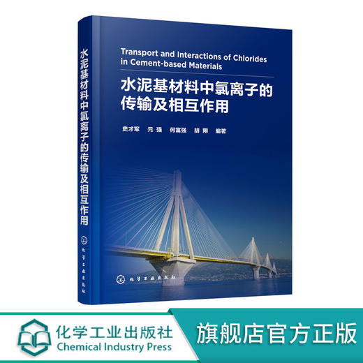 正版 水泥基材料中氯离子的传输及相互作用 水泥混凝土材料 钢筋 商品图0