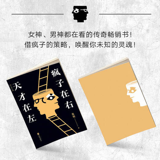 天才在左 疯子在右 完整版 高铭 新增10个被封杀篇完整精神病人访谈手记百科心理学读物 商品图4