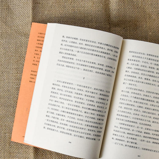 【入围中国好书】南货店 张忌著 2020豆瓣年度榜单 入围2020收获长篇小说榜 众生百相 用一家南货店盛放整个世界与时代 中信 商品图4