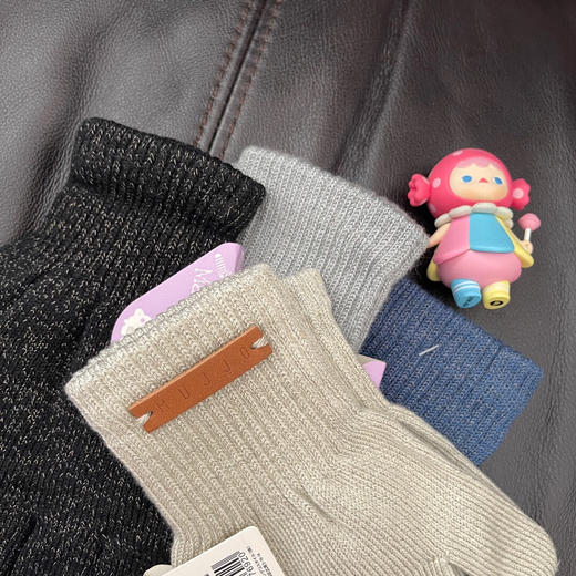 YJJ692  出口荷兰MUJJO触屏手套 商品图2