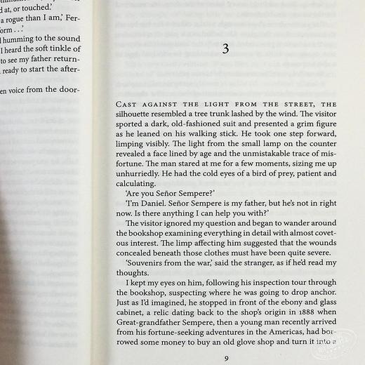 【中商原版】卡洛斯·鲁伊斯·萨丰:天堂囚徒（遗忘书之墓系列3）英文原版 The Prisoner of Heaven 西班牙文学小说 Carlos Ruiz Zafon 风之影四部曲之三 商品图6