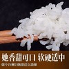 【10Kg】遮放小毕郎贡米 商品缩略图4