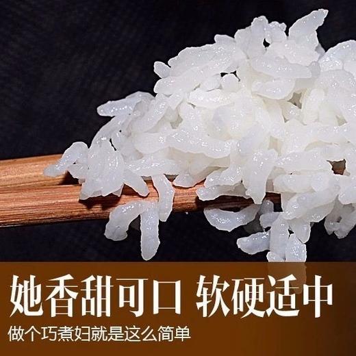 【10Kg】遮放小毕郎贡米 商品图4