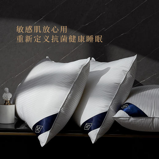 薇娅推荐 世茂希尔顿五星酒店小蓝枕不塌陷不变形kang菌助睡眠枕芯 商品图3