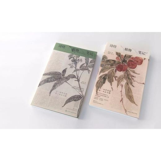 诗经植物笔记 2 韩育生 商品图1