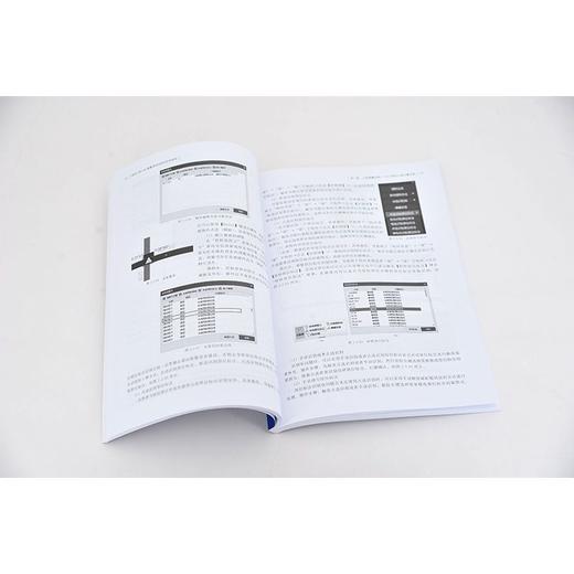 正版 BIM应用实例教程丛书--建筑工程BIM算量通用流程与实例教程 商品图2