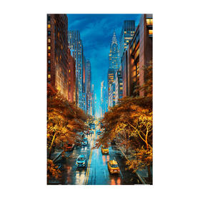 1000片 平面拼图 塑料拼图 H2334 Evgeny Lushpin-光之城市