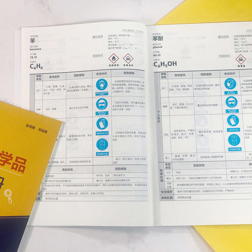 中小学常用危险化学品安全使用手册 中小学化学理论实验教学52种 商品图2