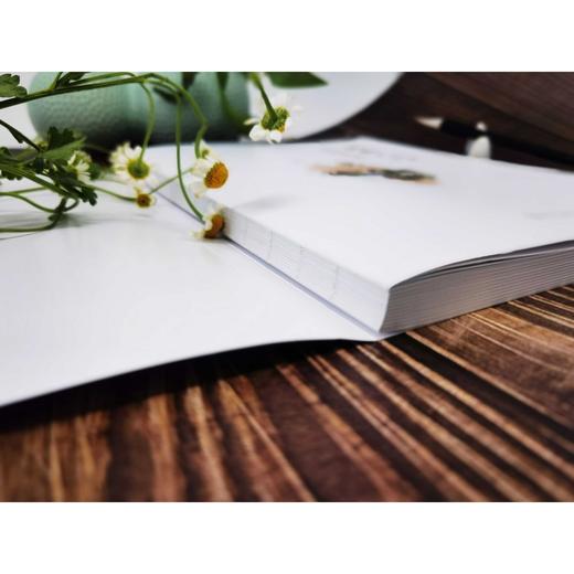 国画入门基础教程 国画初级学习入门教程 中国画基本常识技法 美 商品图2