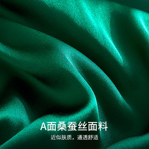 太湖雪真丝枕套19姆米桑蚕丝可水洗枕头套单只 商品图1