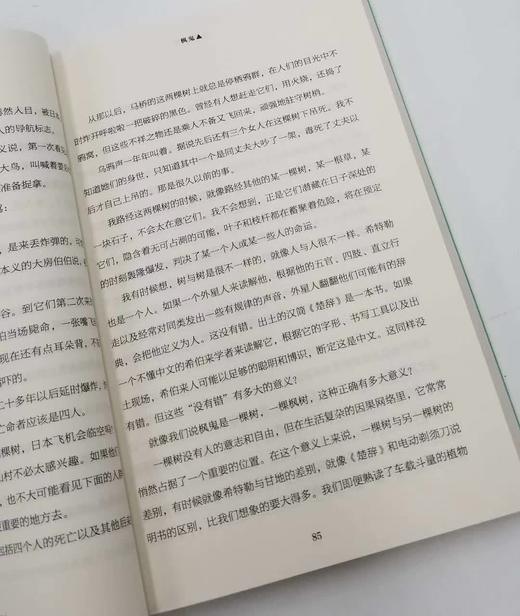 《马桥词典》，韩少功著，上海文艺出版社2017年版Z 商品图2