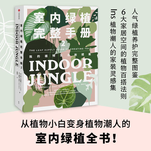 室内绿植完整手册2劳伦卡米雷利 索菲娅卡普兰 著 养花书籍 植物小白 打造自己的植物风格 时尚生活家居设计Ins风 中信 商品图1