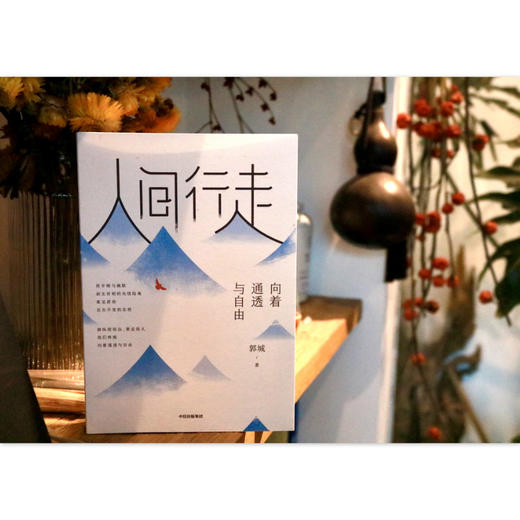 人间行走 向着通透与自由 郭城著 琢磨先生幽默三部曲之终章 以幽默的方式过一生 终有一天你会懂 领略世界 辛辣幽默品味人生中信 商品图1
