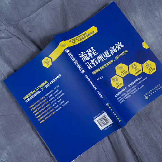 流程让管理更高效 流程管理全套方案制作 设计与优化 鲍玉成 流程 商品图2