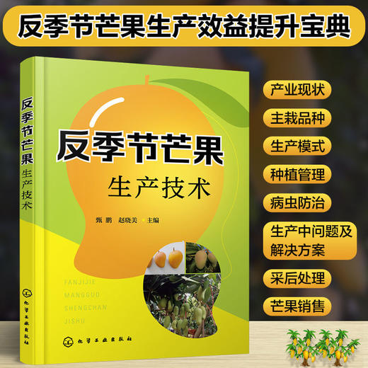 反季节芒果生产技术  经营效益提升宝典 芒果栽培 反季节芒果种植 商品图4
