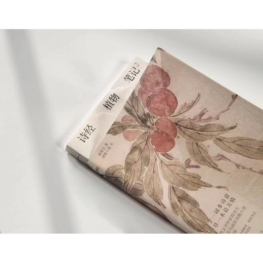 诗经植物笔记 2 韩育生 商品图3
