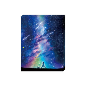 【折扣商品 不退不换】366片无框平面拼图 塑料拼图 HN1102 CaringWong-大步流星