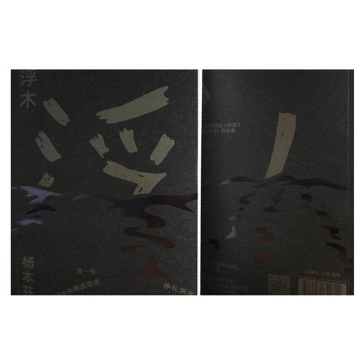 浮木 杨本芬 著 《秋园》续集  中国现当代散杂文随笔集 八旬奶奶描述底层人民的命运 根据真实事件改写 商品图2