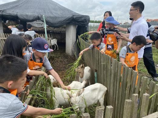 横沙岛最受欢迎游玩组合套餐 商品图5