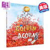 【中商原版】The Golden Acorn 黄金橡子 Katy Hudson 精品绘本 英文原版 3-6岁 商品缩略图0