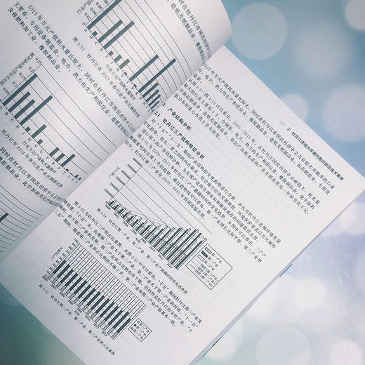 牡丹江水质综合保障技术及工程示范研究 宋男哲 于晓英 杜慧玲 环 商品图2