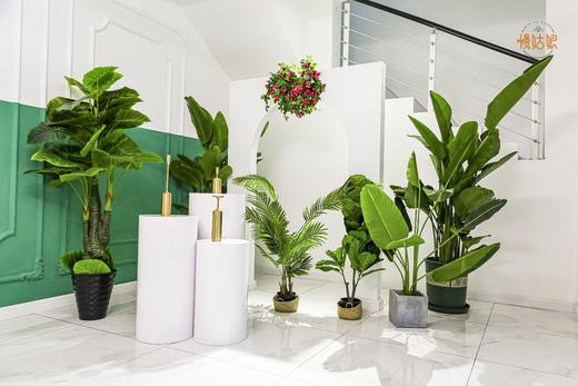 太原慢姑娘森林派对别墅轰趴馆 商品图5