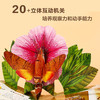 奇趣昆虫立体书   适读年龄：3+ 商品缩略图2