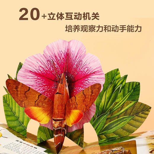 奇趣昆虫立体书   适读年龄：3+ 商品图2