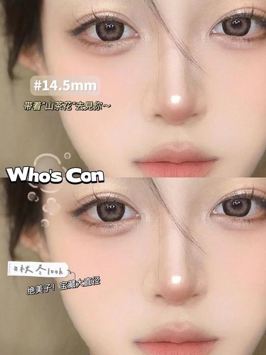 Who’scon 年抛 dia  g·dia 山茶花 商品图0