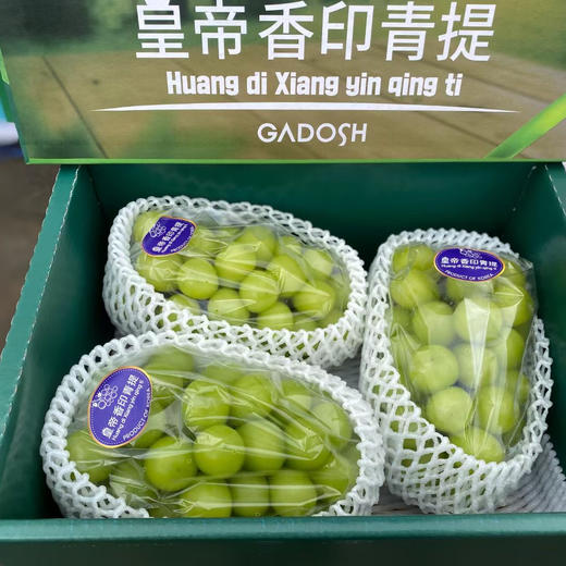 韩国🇰🇷晴王葡萄，超大颗粒甜度非常高的轻奢水果，自然成熟，果肉脆甜多汁，口感饱满独特 商品图5