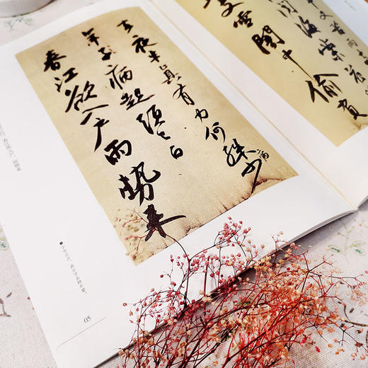 十大行书名帖放大临摹本 苏轼黄州寒食帖 经典行书字帖临摹放大本 商品图2