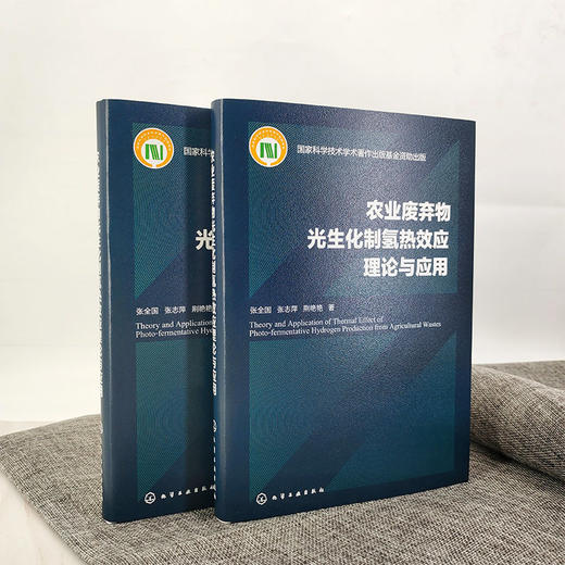 农业废弃物光生化制氢热效应理论与应用 商品图1