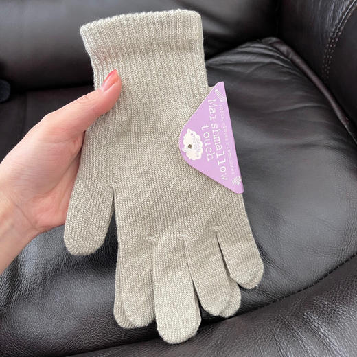 YJJ692  出口荷兰MUJJO触屏手套 商品图5