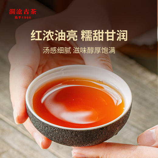 澜沧古茶时光仓老茶2018年压制曼弄普洱茶熟茶云南茶叶盒装350g 商品图2