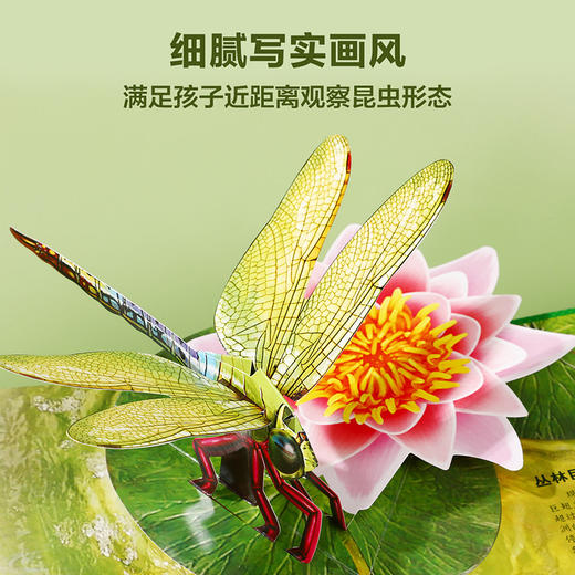奇趣昆虫立体书   适读年龄：3+ 商品图4