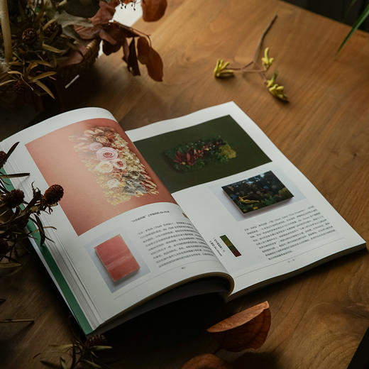 在家森呼吸 永生植物手册 茹茹萍 著 装点家居 家居装扮 养花书籍 中信 商品图3