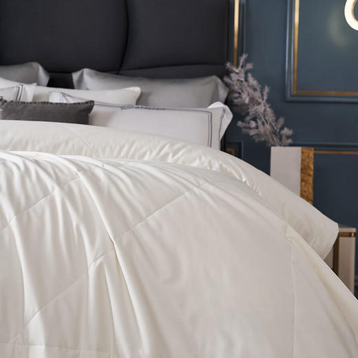 康尔馨秋冬新品希尔顿kang菌大豆被大豆纤维填充磨毛面料 商品图4