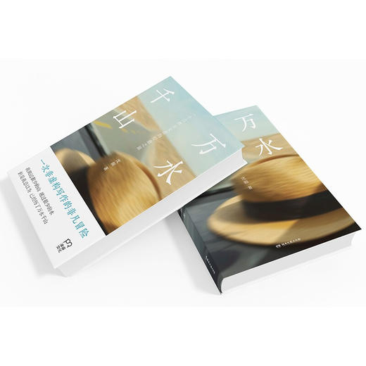 万水千山 沈颢 著 一次非虚构写作的非凡冒险 一部写给艰难时期的人们的心灵疗愈之书 文学散杂文随笔书籍 商品图2