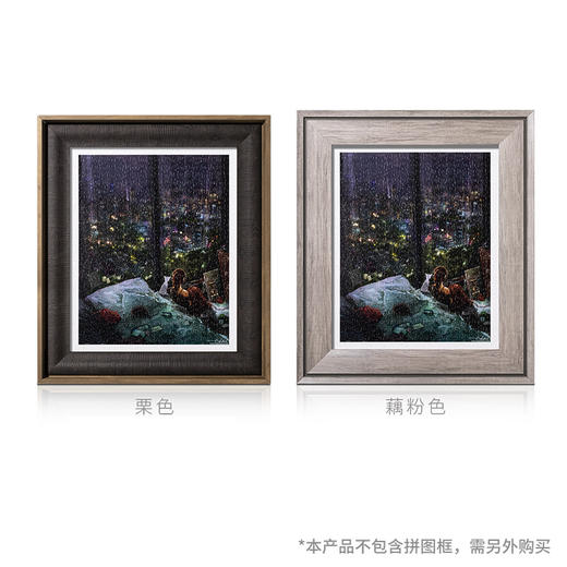 500片 平面拼图 塑料拼图 H2430 endmion1-雨夜 商品图4