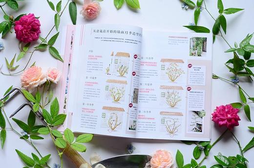 月季新手百科 后藤绿著 养花 日本玫瑰 新手养花 园艺 植物艺术 新手入门 图文展示 中信 日本玫瑰世家传人30年月季栽培经验 商品图2