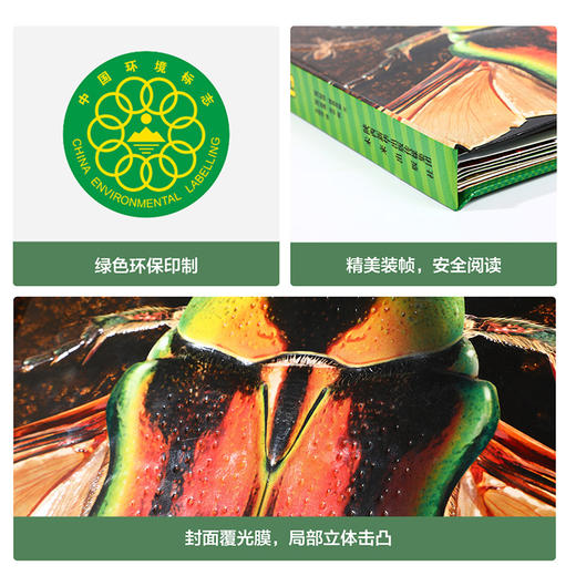 奇趣昆虫立体书   适读年龄：3+ 商品图5