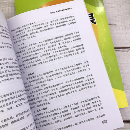 反季节芒果生产技术  经营效益提升宝典 芒果栽培 反季节芒果种植 商品图3