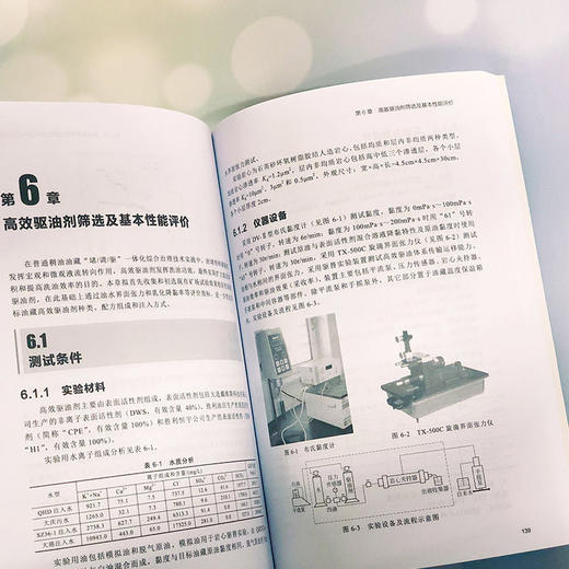 渤海高含水油田综合治理技术研究 卢祥国 刘义刚 石油开发技术管 商品图2