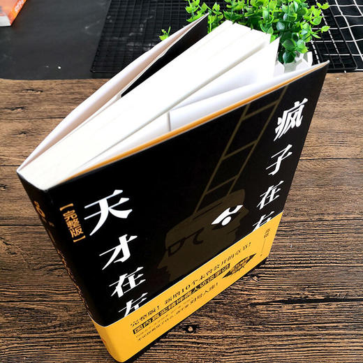 天才在左 疯子在右 完整版 高铭 新增10个被封杀篇完整精神病人访谈手记百科心理学读物 商品图1